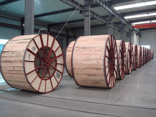 壹号娱乐app官网(中国)官方版下载