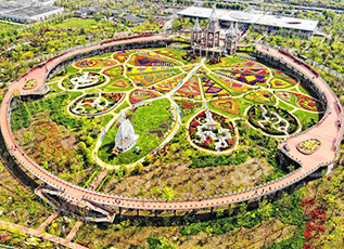 壹号娱乐app官网(中国)官方版下载