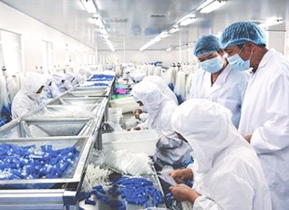 壹号娱乐app官网(中国)官方版下载